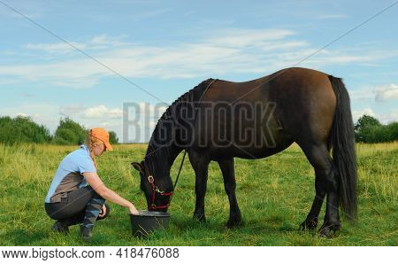 Caucasian Woman, 40 Years Old, Her Bay Horse And A Bucket Of Water In Outdoors.