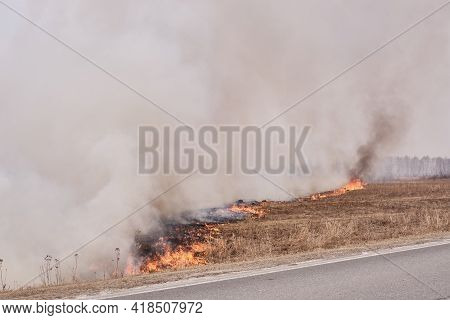 In The Spring, Dry Grass Burns On The Field Near The Road. Grassroots Natural Fire.