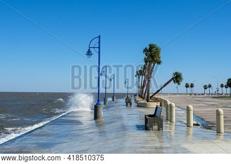 Waves On Lake Pontchartrain And Leaning Palm Tree In New Orleans Following Hurricane Zeta