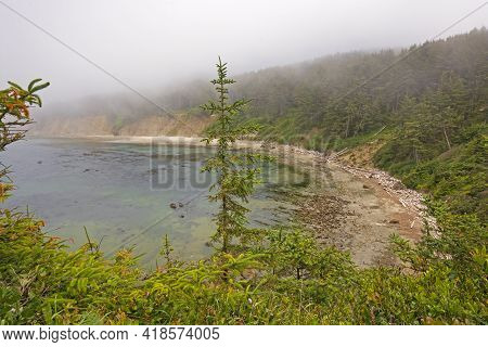 Fog And Forest On The Oregon Coast At Cape Arago State Park In Oregon