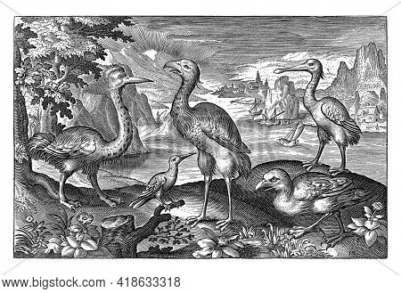 Five birds including spoonbills, Nicolaes de Bruyn