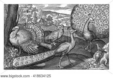 Five birds including spoonbills, Nicolaes de Bruyn