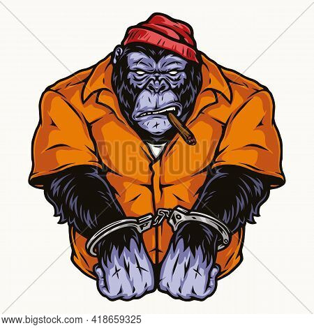 Handcuffed Gorilla In Orange Prisoner Uniform Smoking Cigar In Vintage Style Isolated Vector Illustr