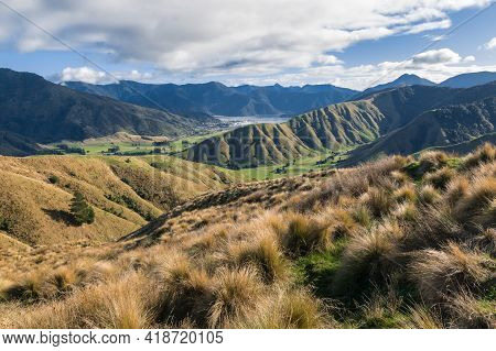 Tussock Covered Hills Near Havelock Town In Marlborough Region, South Island, New Zealand