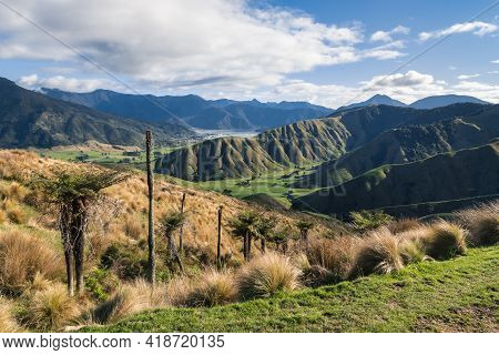 Rolling Hills Landscape With Tussock And Silver Ferns Near Havelock Town In South Island, New Zealan