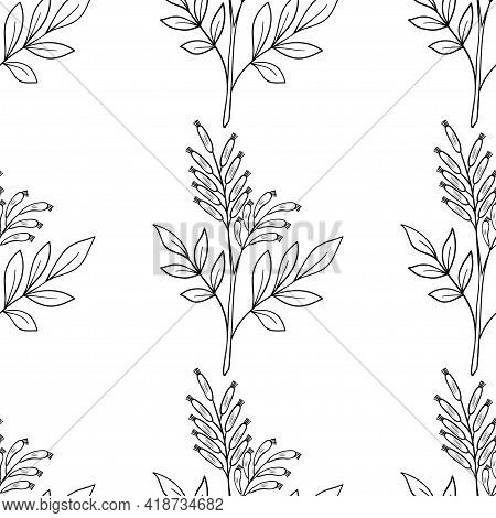 Bitter Wood, Seamless B-w Dd Ww Herb