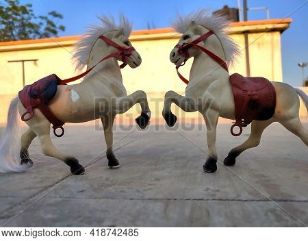 Stock Photo Of White Color Two Plastic Horse Toy Kept On Floor Under Bright Sunlight On Blur Backgro