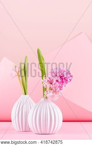 Bright Delicate Spring White Hyacinth Bouquet In Ceramic Vases On Pastel Pink Geometric Background I