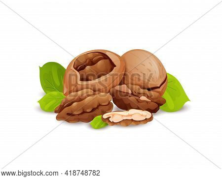 Pecan Nut Composition, Good For Label And Sticker
