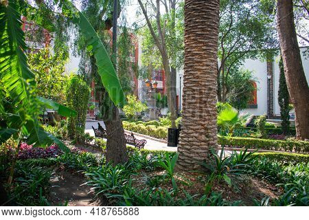 Peaceful Park With Trees And Bushes In Mexico City