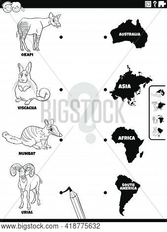 Black And White Cartoon Illustration Of Educational Matching Task For Children With Animal Species C