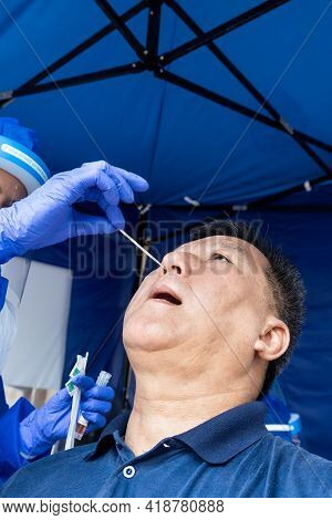 Mature Asian Man Doing Covid 19 Pcr Nasal Swab Test Via Nostril