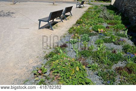 Perennial Bed Mulched With Gray Gravel In Front Of A Limestone Stone Wall In A Square With Benches W