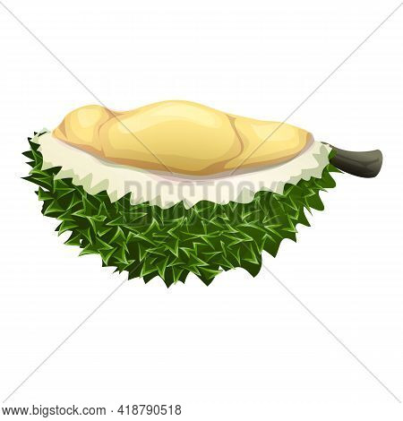 Half Durian Icon. Cartoon Of Half Durian Vector Icon For Web Design Isolated On White Background