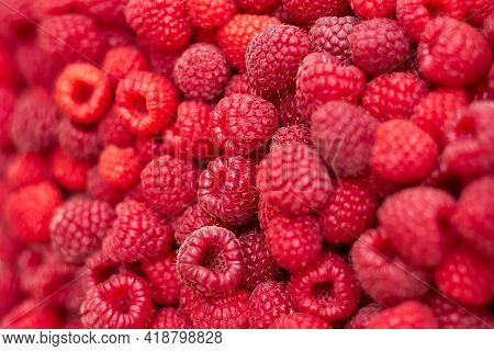 Sweet Raspberry. Raspberries - Raspberry Texture Background. Top View Of Heap Of Raspberry As Textur