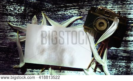 Empty Blank Paper , Vitage Camera And White Petals On Wooden Table.  Nostalgia Concept, Light And Sh