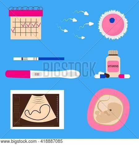 Objects Of Conception And Pregnancy. Flat Design Icons Vector Collection Of Gynecology. Set For Preg