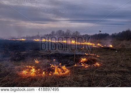 In The Spring In The Evening, Dry Grass Burns On The Field Near The Road. Grassroots Natural Fire.