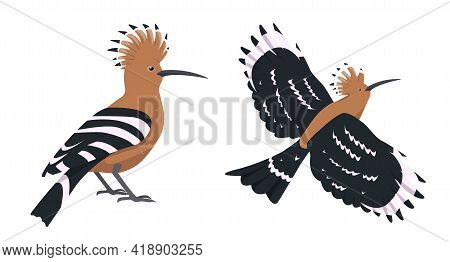 Flying And Sitting Hoopoe Birds. Cartoon Icons.