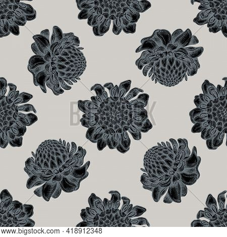 Seamless Pattern With Hand Drawn Stylized Etlingera Stock Illustration