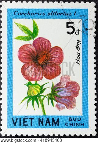 Vietnam - Circa 1984: Postage Stamp 'corchorus Olitorius' Printed In Vietnam. Series: 'blossoming Wo