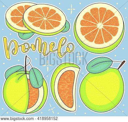 Pomelo, Whole And Pieces. Vector Stock Illustration - Colored Fruit Set