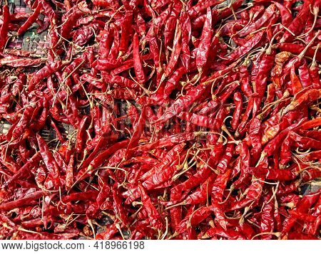 Red Hot And Spicy Chili Stock