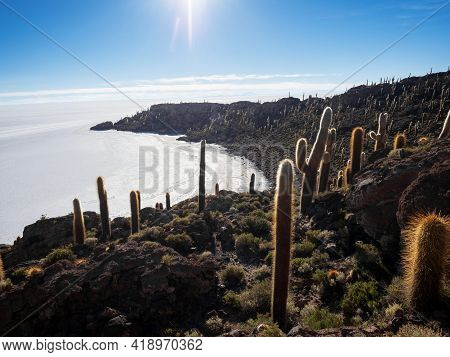 Panorama View Of Isolated Cactus Island Incahuasi Inkawasi On White Salt Flat Lake Salar De Uyuni In