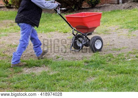 Garden Worker In The Residential Backyard With Sowing Lawn Grass Seeds With A Drop Lawn Spreader