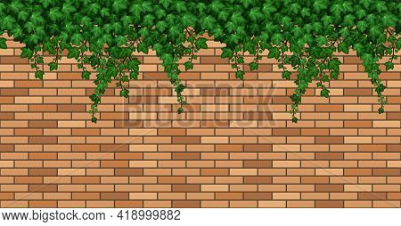 Birck Wall With Ivy Leaves. Summer Green Ivy Foliage On  Bricks, Building Wall Or Fence. Seamless Re
