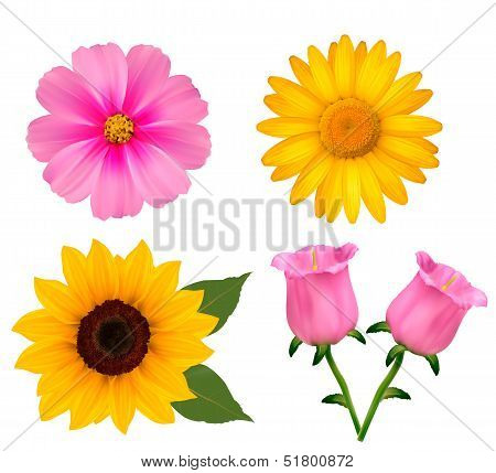 Big Set Of Beautiful Colorful Flowers. Design Flower Set. Vector Illustration.