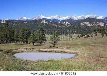 Watering Hole