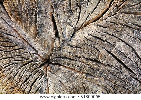 wood structure