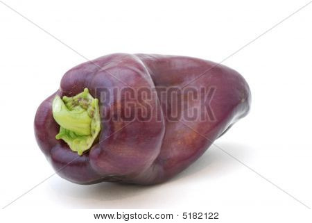 Violetti pippuri