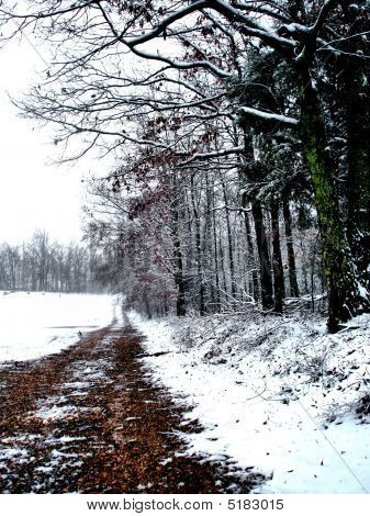 La vecchia strada di casa