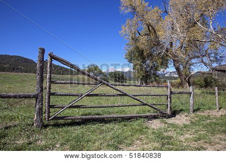 Wood Gate and Fence