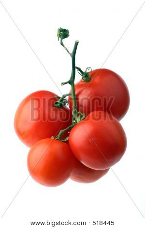 Cluster rote Tomaten