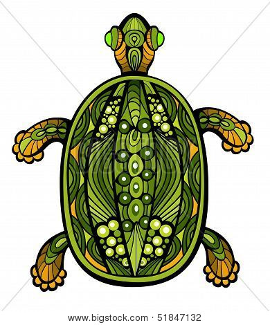 Fancy Turtle