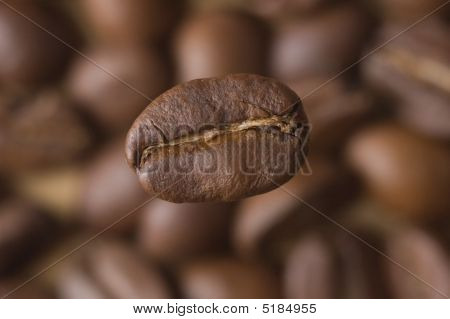 Grãos de café