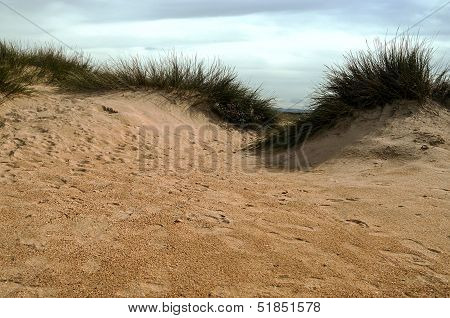 Sand Dunes