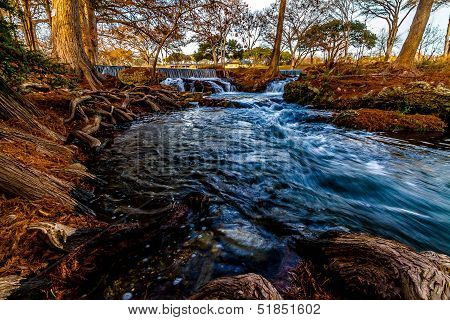 Swift Stream from a Beautiful Flowing Waterfall  with Big Cypress Trees and Giant Gnarly Roots