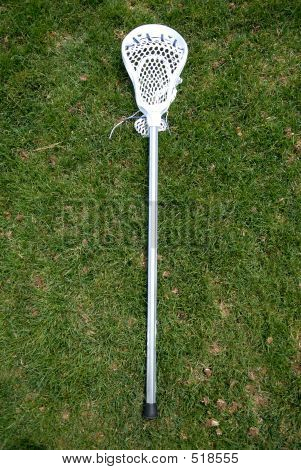 Bastone lacrosse In erba