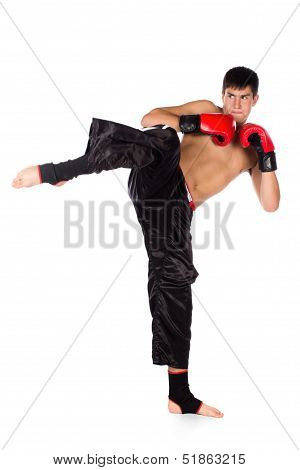 Young Male Kickboxer