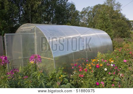 greenhouse