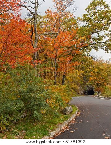 Skyline Drive In Fall