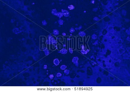 Blue Blobs Background