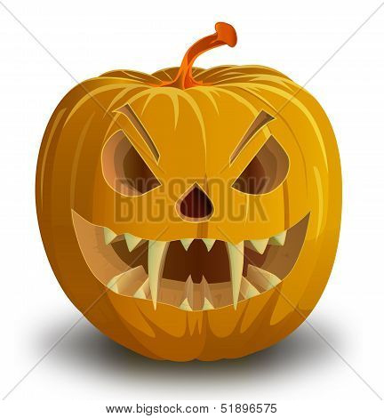 Realistic vector illustration of pumpkin