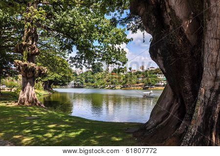 Dique Do Tororo, Salvador De Bahia (brazil)