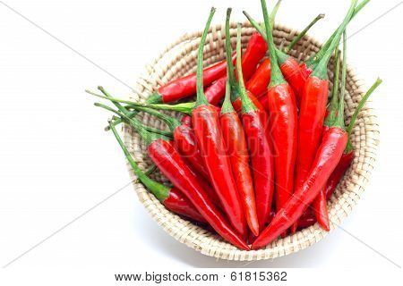 Red Hot Chili Peppers .