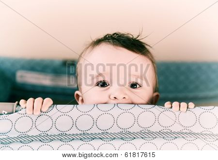 Smiling Eyes - Retro